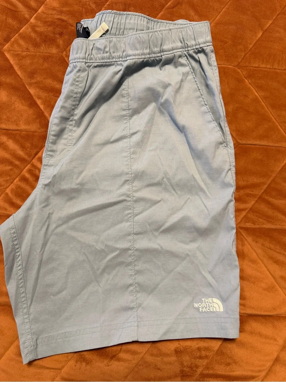 The North Face Pale Blue Active Shorts